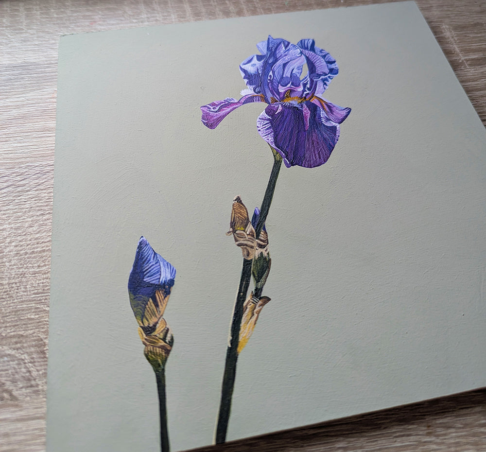 Iris - French Grey - Original Acrylic Artwork