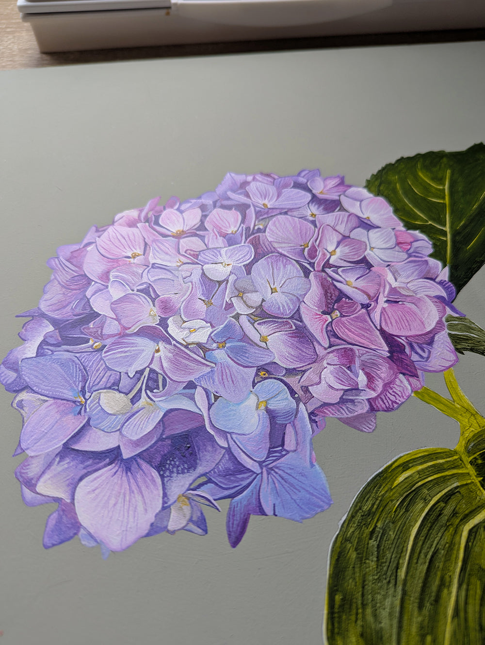 Hydrangeas - Pigeon - Original Acrylic Artwork