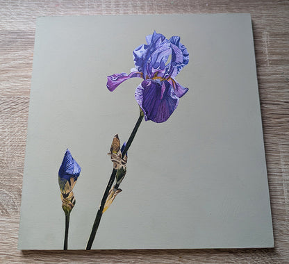 Iris - French Grey - Original Acrylic Artwork