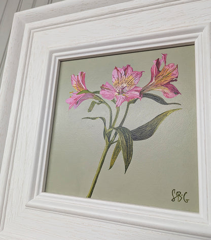 Pink Alstroemeria - French Grey - Original Acrylic Artwork